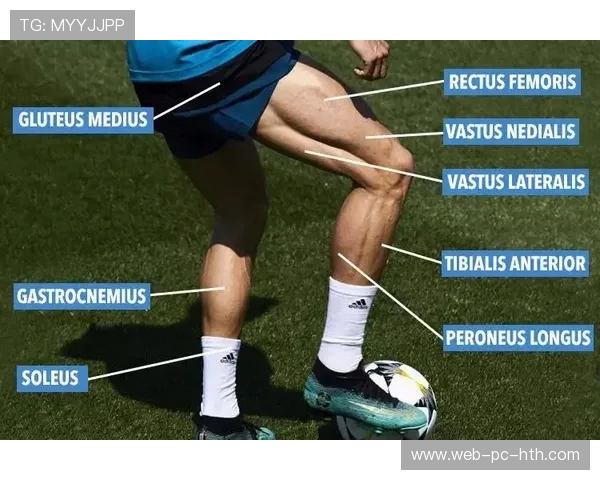 全面提升身体素质的科学健身计划与健康生活方式指南